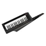 Korg RK-100S 2 Black