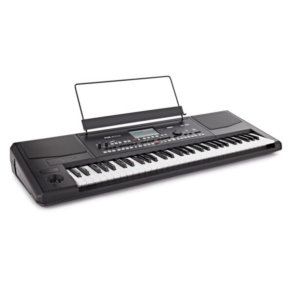 Korg PA-300