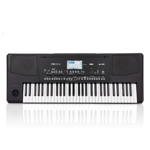 Korg PA-300