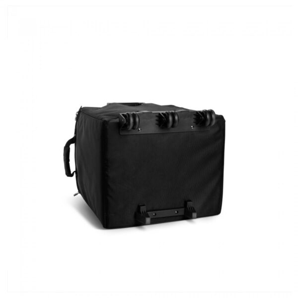 LD Systems DAVE 10 G4X BAG SET