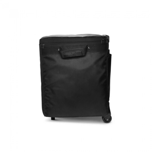 LD Systems DAVE 10 G4X BAG SET